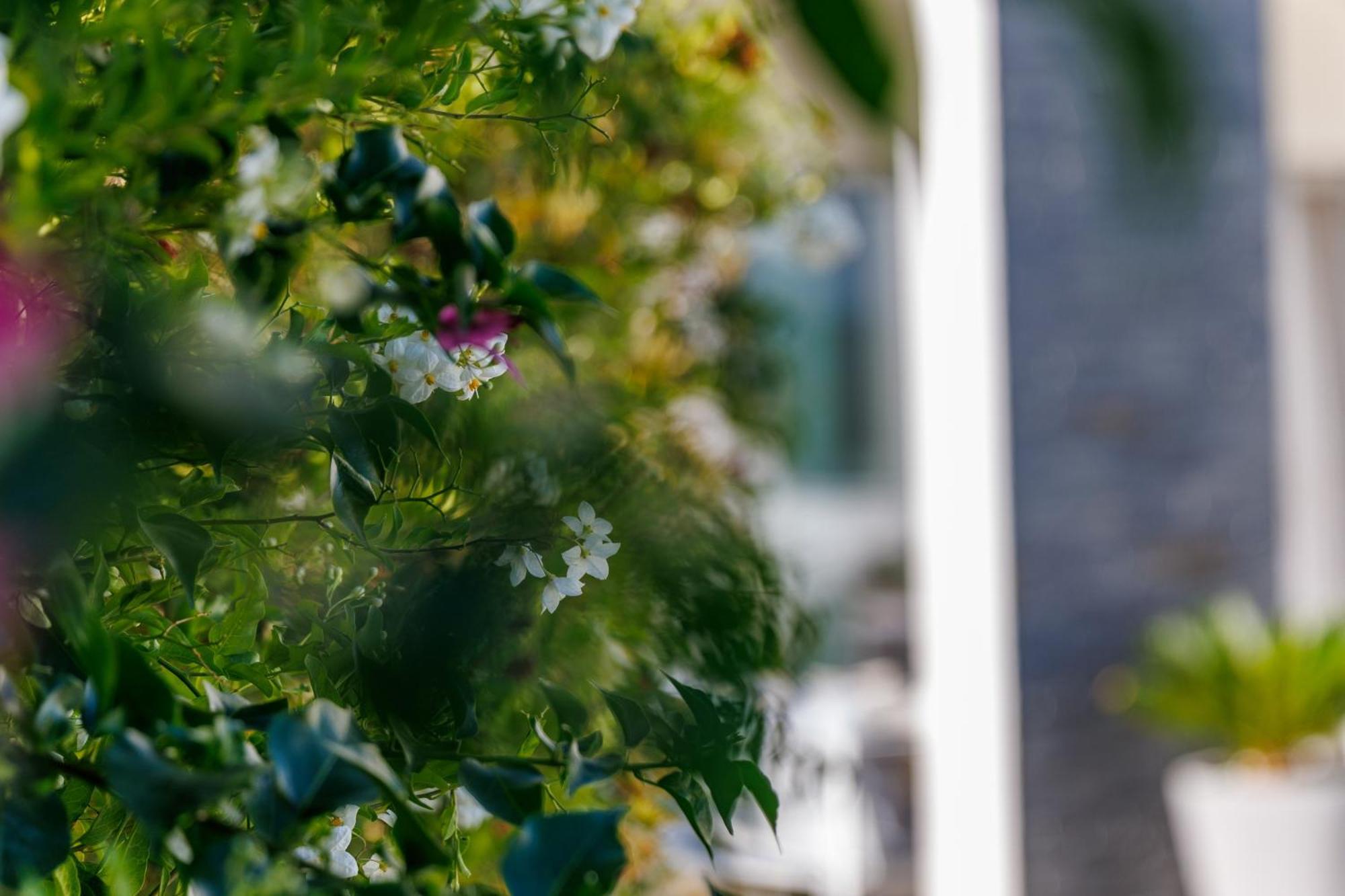 Holiday Home Ventum シベニク エクステリア 写真